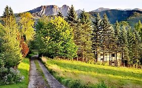 Kalinówka Kościelisko